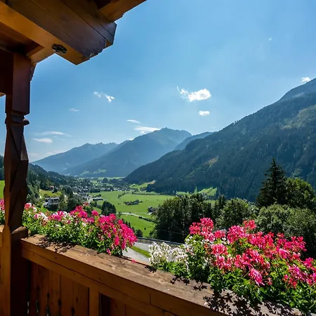 In Wald Near Zillertal Area Wald im Pinzgau
