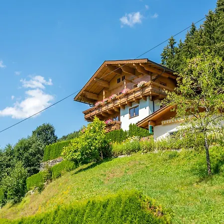 In Wald Near Zillertal Area * Wald im Pinzgau