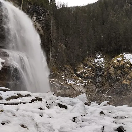 In Wald Near Zillertal Area *
