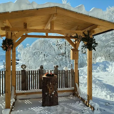 In Wald Near Zillertal Area