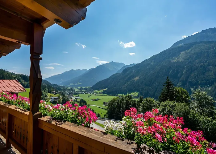 In Wald Near Zillertal Area Wald im Pinzgau