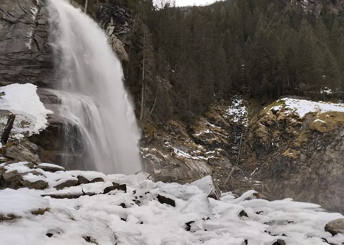 In Wald Near Zillertal Area *