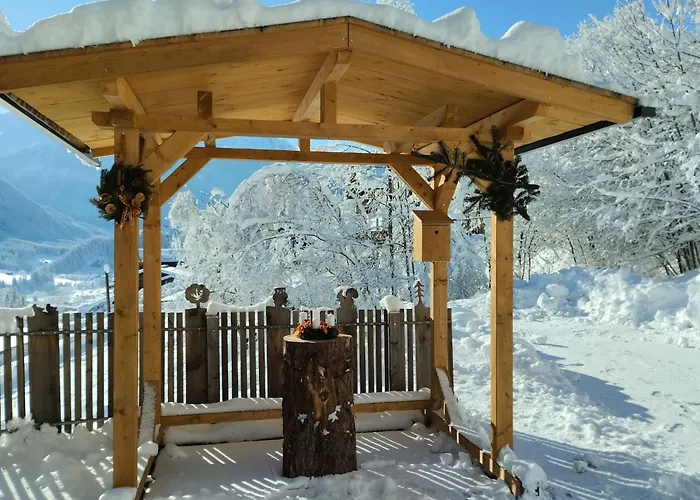 In Wald Near Zillertal Area